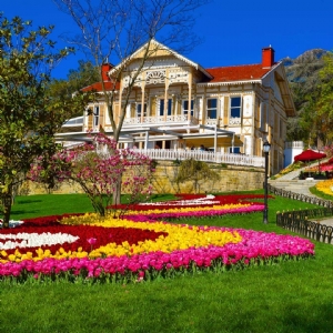 12 NİSAN 2026  LALE FESTİVALİ -  EMİRGAN KORUSU -  ORTAKÖY-  EMİNÖNÜ-  EYÜP SULTAN PİERRE LOTİ TURU