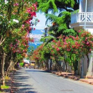 13 EYLÜL 2025  GÜNÜBİRLİK  BÜYÜKADA ve ORTAKÖY  TURU