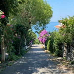 20 EYLÜL 2026 BÜYÜKADA & ORTAKÖY  TURU