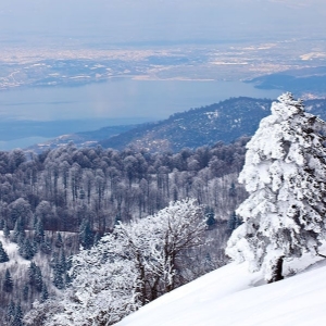 4 OCAK 2026 KARTEPE - ORMANYA TABİAT PARKI -  SAPANCA TURU