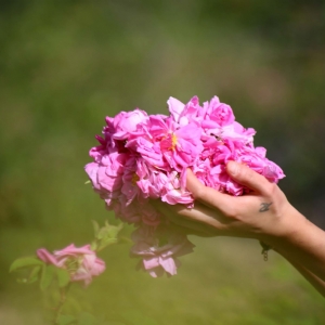 5-7  HAZİRAN  2026 ISPARTA GÜL HASADI - SALDA GÖLÜ - PAMUKKALE TURU