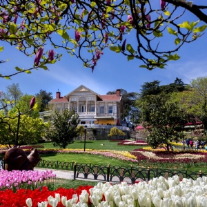 11 NİSAN 2026 LALE FESTİVALİ - EMİRGAN KORUSU -  ORTAKÖY-  EMİNÖNÜ -EYÜP SULTAN PİERRE LOTİ TURU