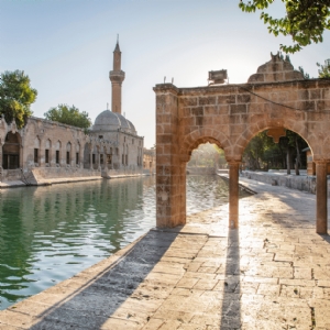 23-28  KASIM  2026  GAP TURU