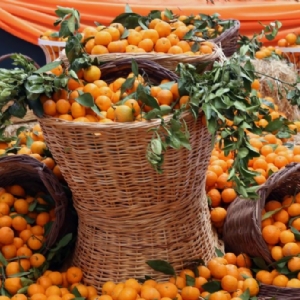 6-7 ARALIK 2025 SEFERİHİSAR  MANDALİNA FESTİVALİ &  EGE TURU