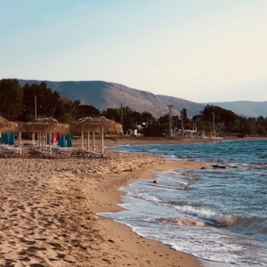 26 AĞUSTOS 2026 GÜNÜBİRLİK MAKRİ DENİZ-DEDEAĞAÇ- LIDL MARKET TURU