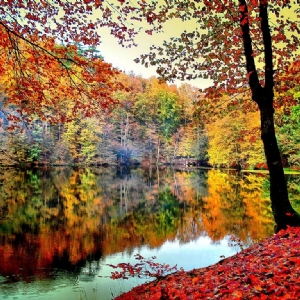 26 NİSAN 2026 YEDİGÖLLER TURU