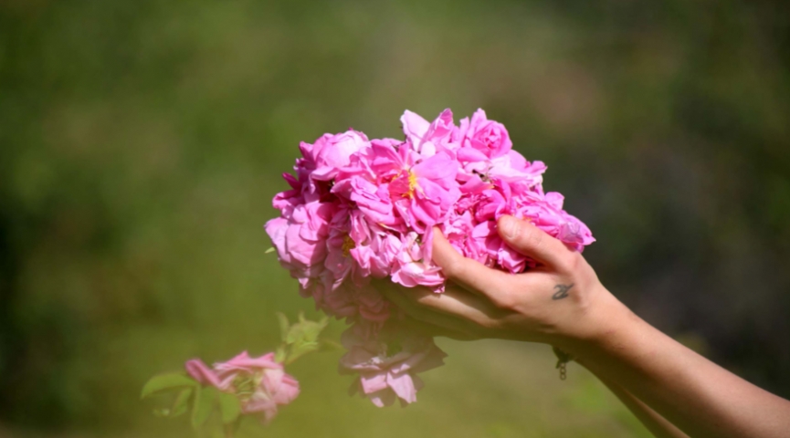 5-7  HAZİRAN  2026 ISPARTA GÜL HASADI - SALDA GÖLÜ - PAMUKKALE TURU