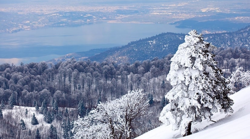 24 OCAK 2026 KARTEPE - ORMANYA TABİAT PARKI -  SAPANCA TURU
