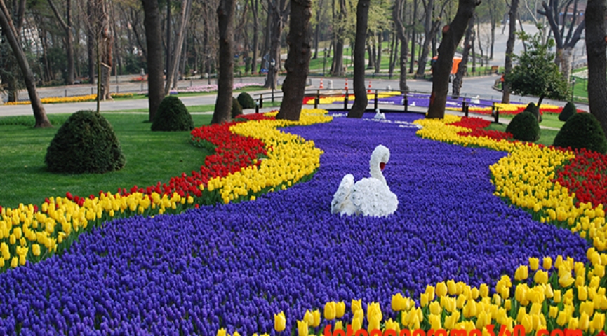 2 MAYIS  2026 LALE FESTİVALİ & EMİRGAN & ORTAKÖY & İSTANBUL BOĞAZ TURU & EMİNÖNÜ TURU