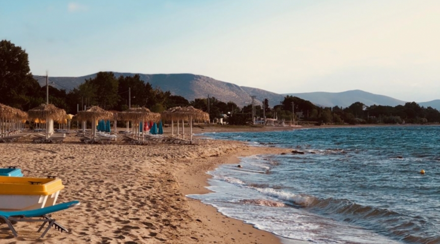 26 AĞUSTOS 2026 GÜNÜBİRLİK MAKRİ DENİZ-DEDEAĞAÇ- LIDL MARKET TURU