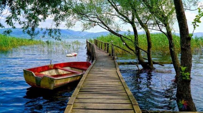 1 MART 2026 DERİNCE HARİKALAR SAHİLİ- ORMANYA TABİAT PARKI -  MAXFUN EĞLENCE MERKEZİ -SAPANCA TURU