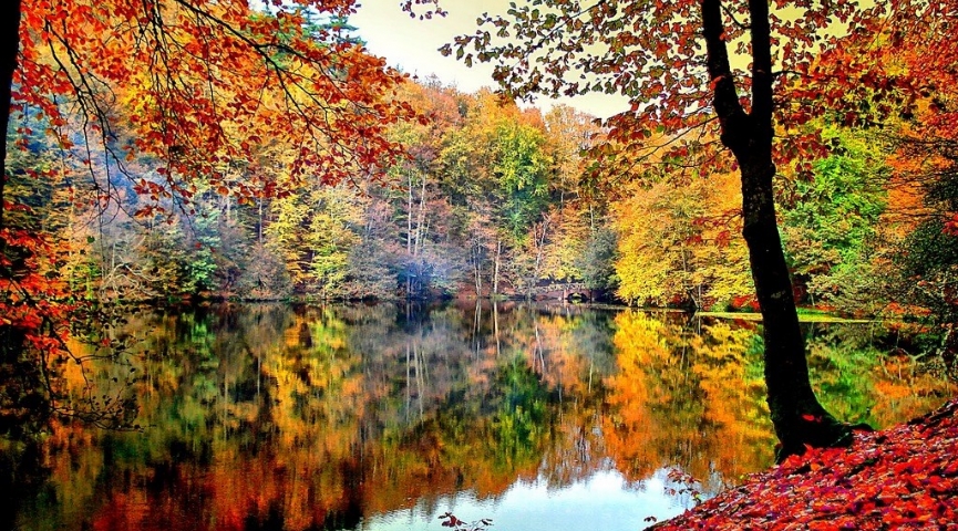 26 NİSAN 2026 YEDİGÖLLER TURU