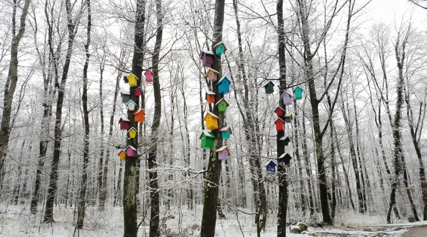 7 ŞUBAT 2026 KARTEPE - ORMANYA TABİAT PARKI -  SAPANCA TURU