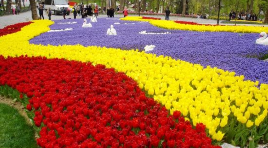 18 NİSAN 2026  LALE FESTİVALİ -  EMİRGAN KORUSU -  ORTAKÖY-  EMİNÖNÜ-  EYÜP SULTAN PİERRE LOTİ TURU