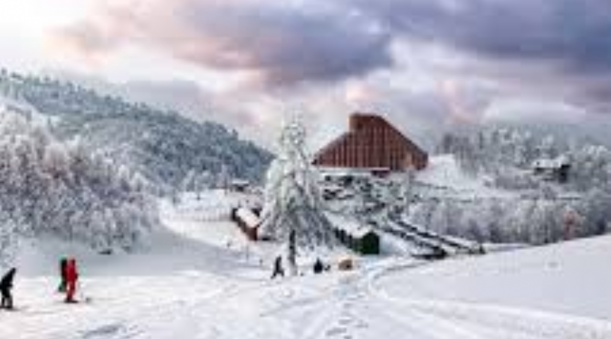 1 ŞUBAT 2026 KARTEPE - ORMANYA TABİAT PARKI -  SAPANCA TURU