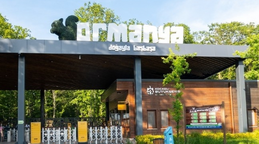 8 HAZİRAN 2025  ORMANYA TABİAT PARKI  -  SAPANCA GÖLÜ  -  DERİNCE HARİKALAR SAHİLİ MAŞUKİYE TURU