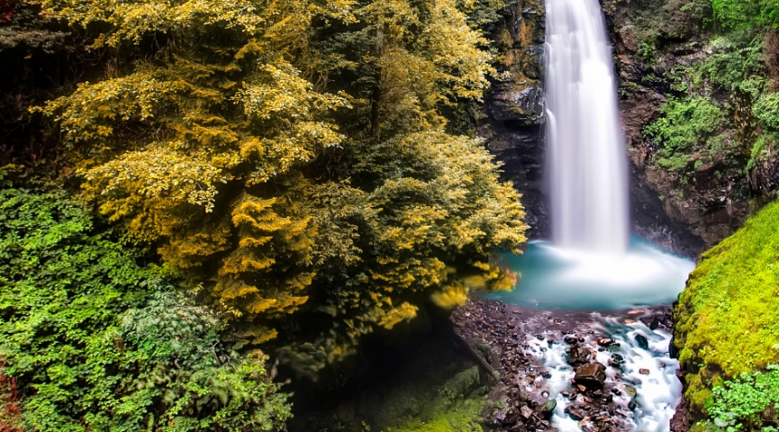 28 EYLÜL  - 4  EKİM 2026 KARADENİZ VE BATUM  TURU  ( BATUM KONAKLAMALI )