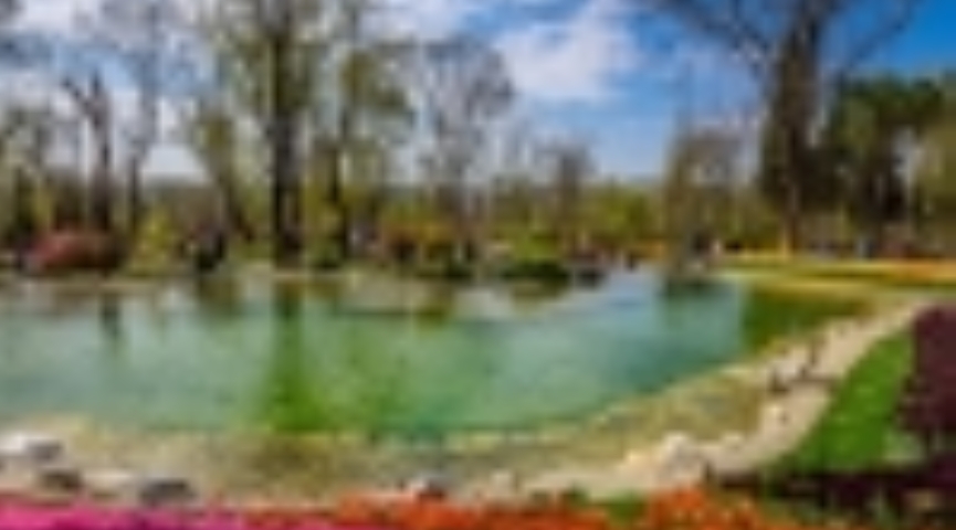 4 NİSAN 2026 LALE FESTİVALİ - EMİRGAN KORUSU -  ORTAKÖY-  EMİNÖNÜ -EYÜP SULTAN PİERRE LOTİ TURU