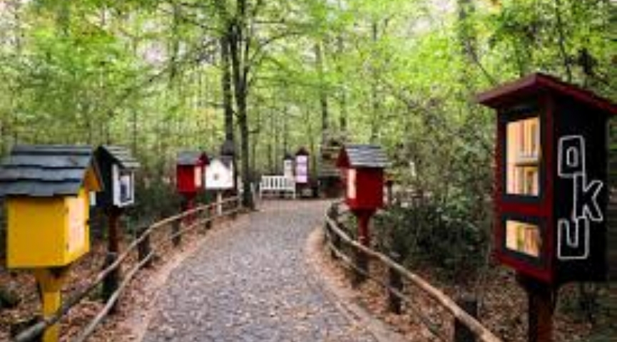 19 MAYIS 2026 DERİNCE HARİKALAR SAHİLİ- ORMANYA TABİAT PARKI -  MAXFUN EĞLENCE MERKEZİ -SAPANCA TURU