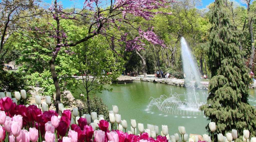 23 NİSAN 2026  LALE FESTİVALİ -  EMİRGAN KORUSU -  ORTAKÖY-  EMİNÖNÜ-  EYÜP SULTAN PİERRE LOTİ TURU