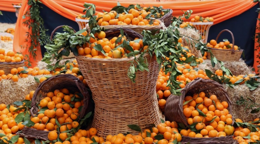 6-7 ARALIK 2025 SEFERİHİSAR  MANDALİNA FESTİVALİ &  EGE TURU