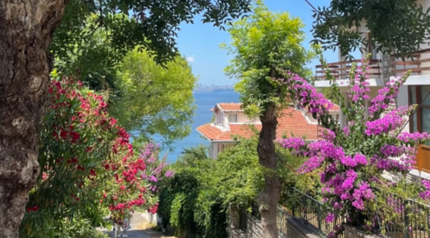 4 EKİM 2026 BÜYÜKADA & ORTAKÖY  TURU
