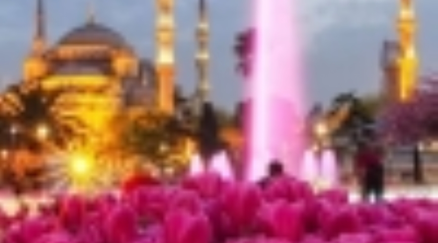 2 MAYIS  2026 LALE FESTİVALİ & EMİRGAN & ORTAKÖY & İSTANBUL BOĞAZ TURU & EMİNÖNÜ TURU