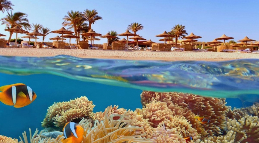 13-20 ŞUBAT 2026  SHARM EL  SHEIKH - KAHİRE VE İSKENDERİYE MASALI