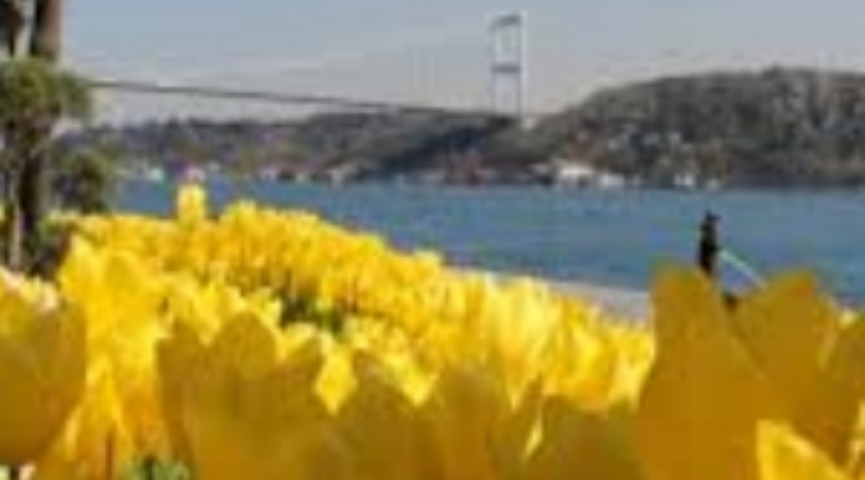 2 MAYIS  2026 LALE FESTİVALİ & EMİRGAN & ORTAKÖY & İSTANBUL BOĞAZ TURU & EMİNÖNÜ TURU