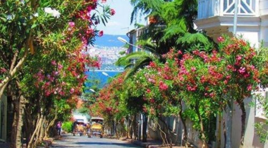 22 HAZİRAN 2025 GÜNÜBİRLİK  BÜYÜKADA ve ORTAKÖY  TURU