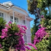 4 EKİM 2026 BÜYÜKADA & ORTAKÖY  TURU