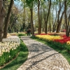 23 NİSAN 2026  LALE FESTİVALİ -  EMİRGAN KORUSU -  ORTAKÖY-  EMİNÖNÜ-  EYÜP SULTAN PİERRE LOTİ TURU