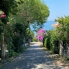 4 EKİM 2026 BÜYÜKADA & ORTAKÖY  TURU