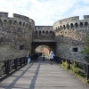 13-16 KASIM 2025 NOVİSAD- BELGRAD- NİŞ-SOFYA