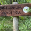4-6 EYLÜL 2026  KASTAMONU KANYONLARI -  SAFRANBOLU  - AMASRA TURU