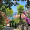 4 EKİM 2026 BÜYÜKADA & ORTAKÖY  TURU