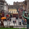 13-16 KASIM 2025 NOVİSAD- BELGRAD- NİŞ-SOFYA