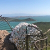5 EYLÜL  2026 GÜNÜBİRLİK  AYVALIK - ŞEYTAN SOFRASI  -  CUNDA ADASI TURU